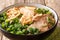 Easy Recipe forÂ Lanzhou Beef Noodle Soup closeup in a bowl. horizontal